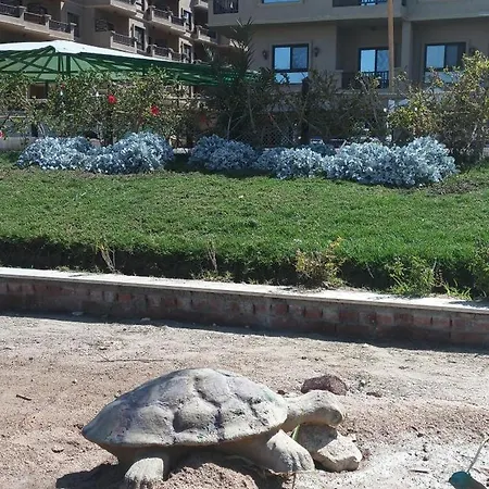 Turtles Beach Resort Hurghada Buitenkant foto