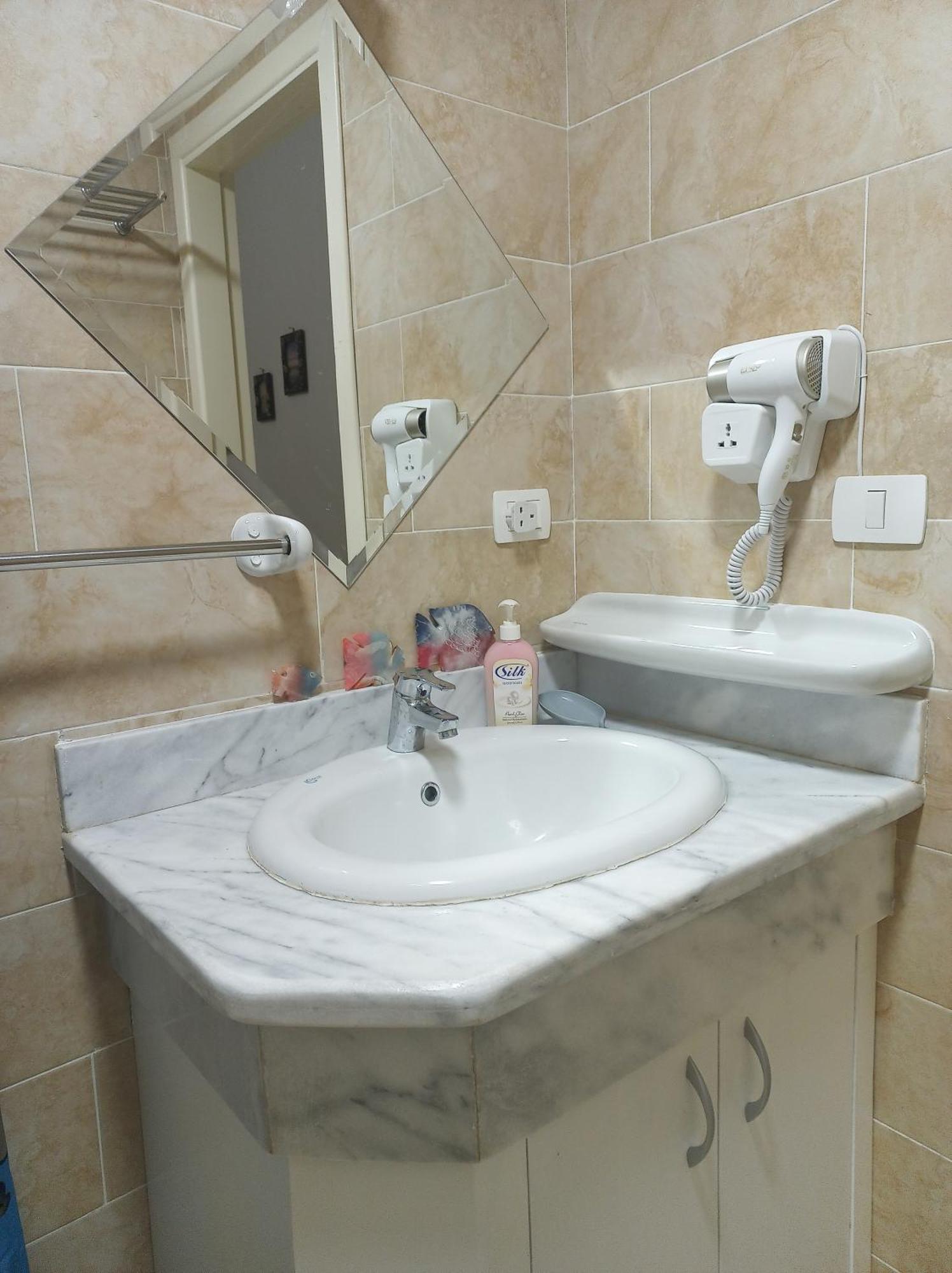 Apartment Turtles *